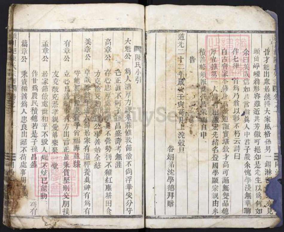 福建省龙岩市上杭县陈氏族谱-颖川郡陈氏宗谱.pdf电子版预览图2