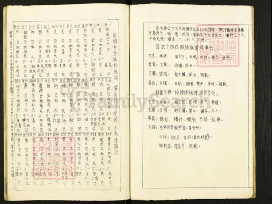 广东省河源市和平林寨镇陈氏族谱-廷念公裔祖谱.pdf电子版预览图2