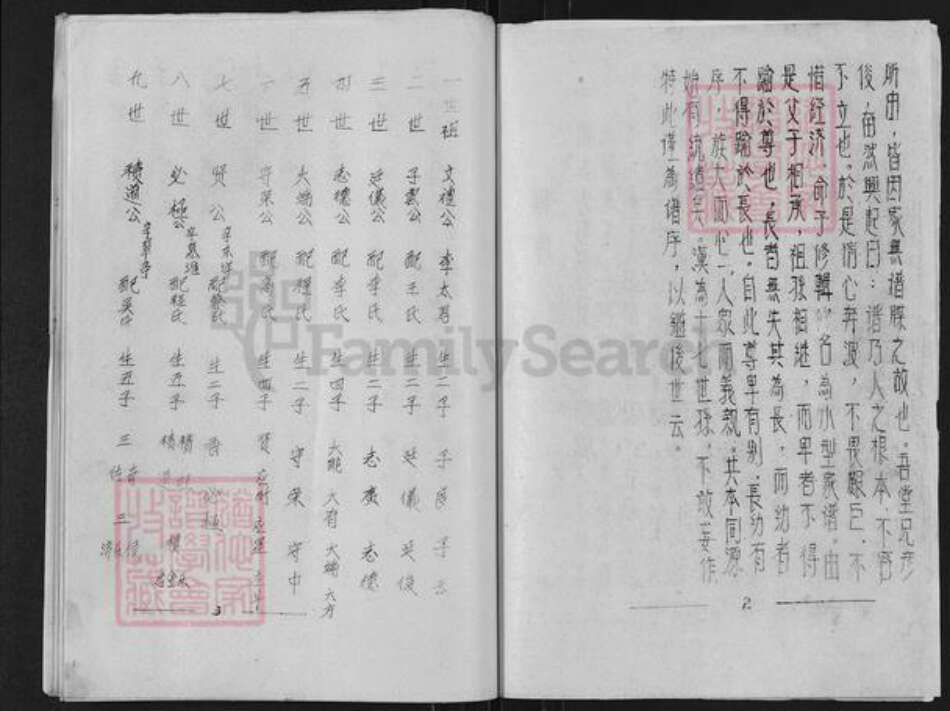 江苏省盐城市亭湖区陈氏颍川堂族谱-颍川堂家谱.pdf电子版预览图2