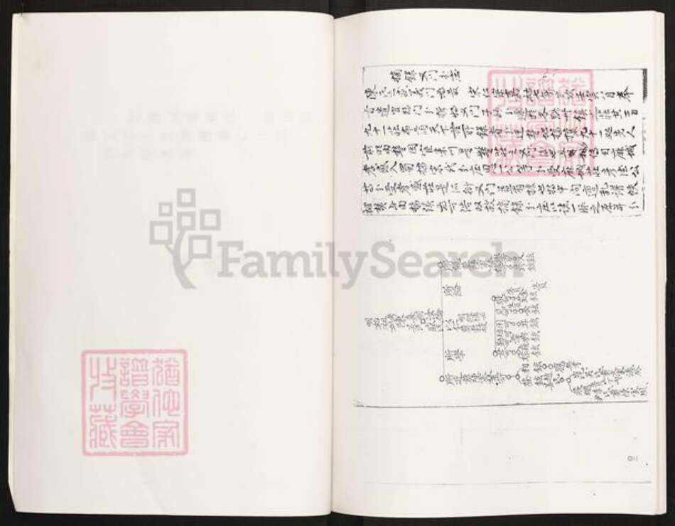 四川省眉山市眉山陈氏族谱-陈氏家谱.颍川郡江州义门陈氏四川仁寿县满井王家大湾.pdf电子版预览图2