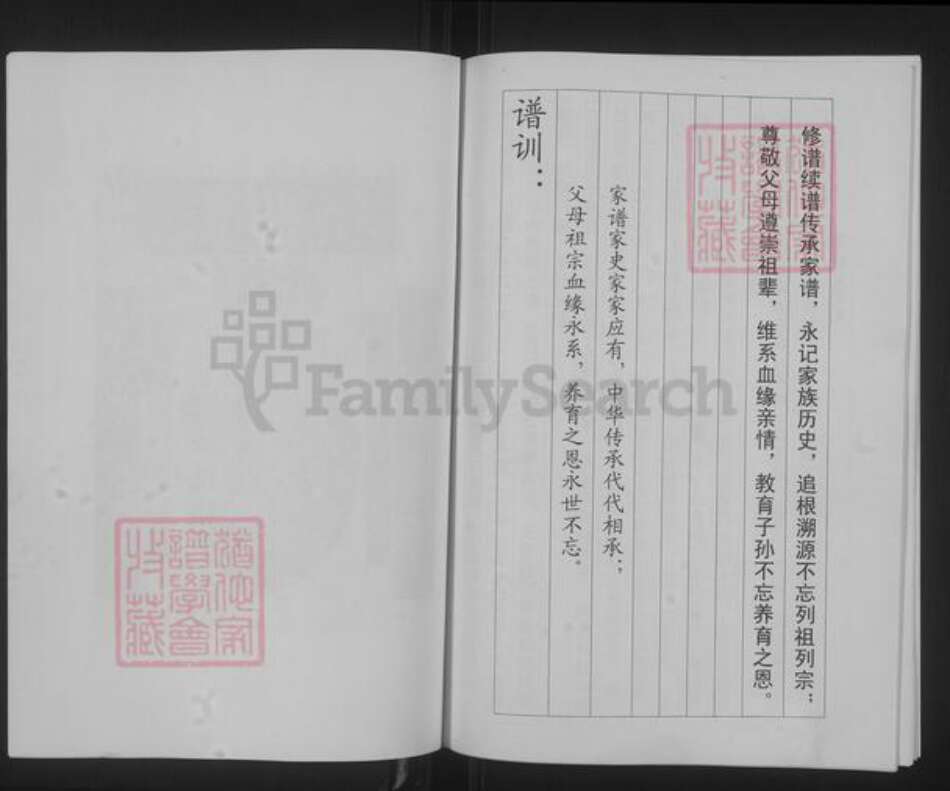 山东省聊城市聊城市沙镇镇楚氏族谱-楚氏家谱.pdf电子版预览图2