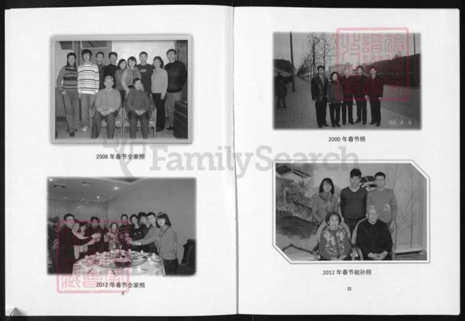 陕西省西安市戴氏族谱-戴氏家谱.西安支.pdf电子版预览图2