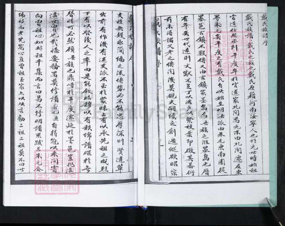 山东省青岛市崂山区戴氏族谱-大麦岛戴氏族谱.pdf电子版预览图2