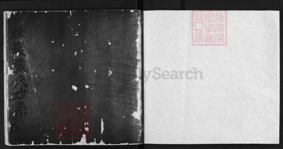 江西省上饶市戴氏族谱-桂岩戴氏世系 [不分卷].pdf电子版预览图2