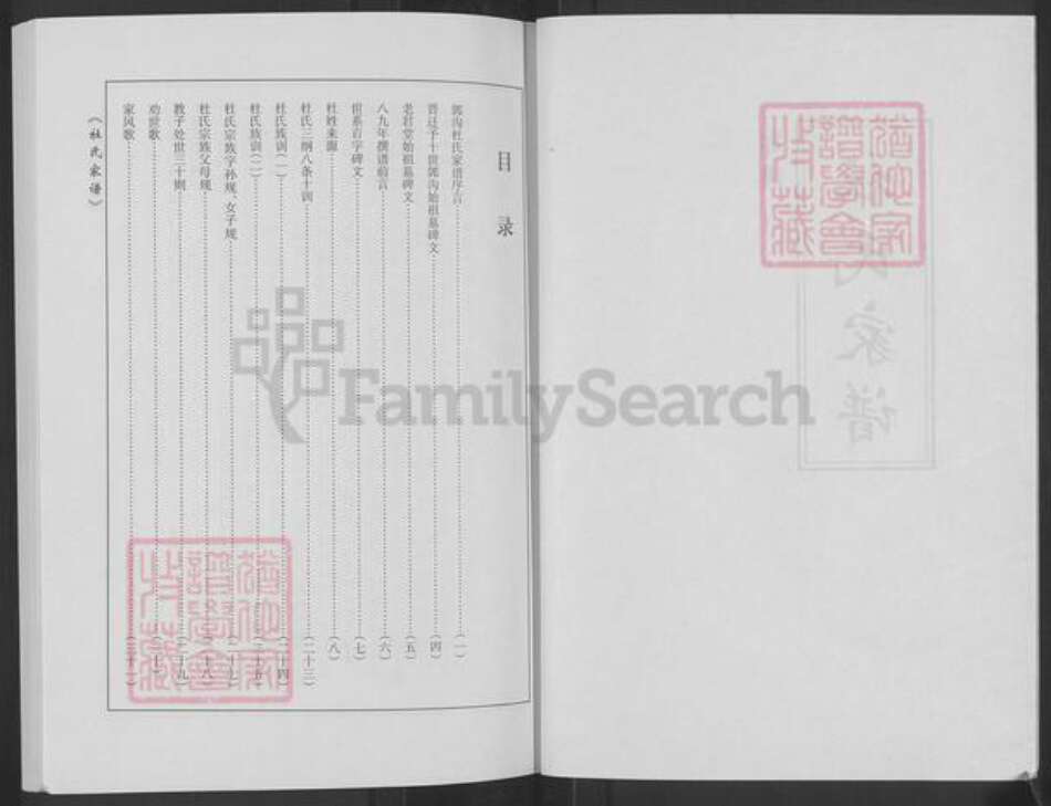 河南省郑州市登封市石道乡杜氏族谱-杜氏家谱.pdf电子版预览图2