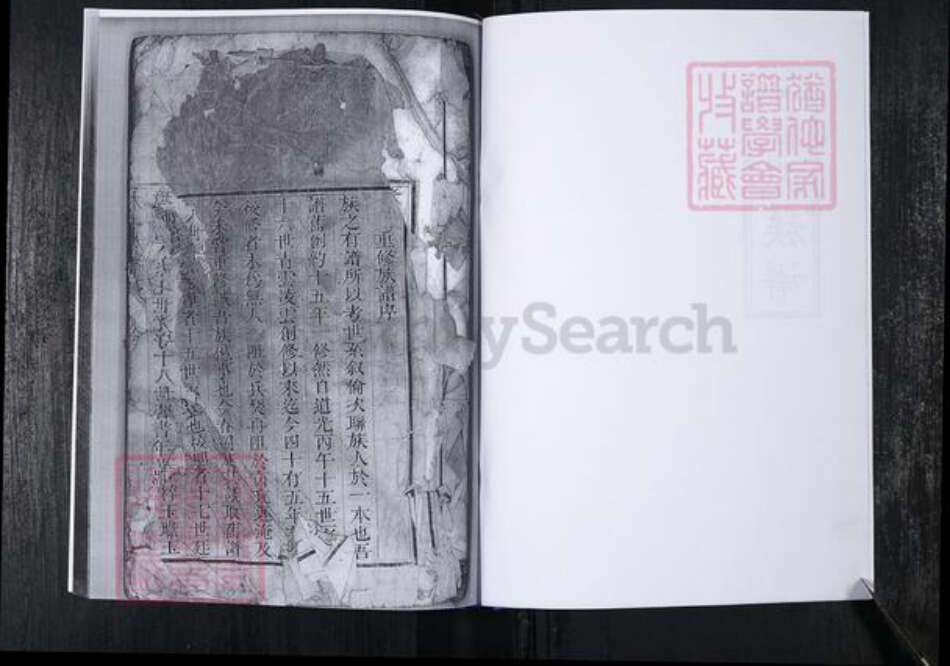 山东省青岛市崂山区杜氏族谱-会场社区杜氏族谱.pdf电子版预览图2