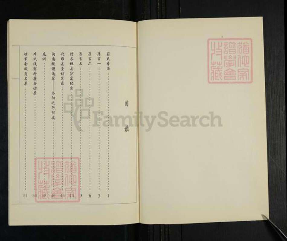 山东省临沂市兰山区符氏族谱-符氏宗谱.琅琊族系.pdf电子版预览图2