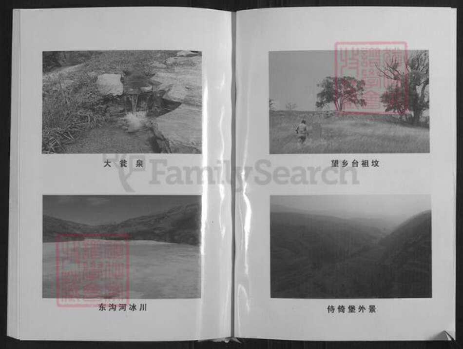 山西省忻州市繁峙县高氏族谱-高氏家谱.pdf电子版预览图2