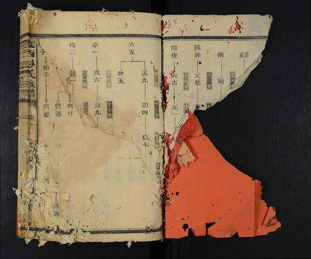 福建彭氏族谱-陇西彭氏族谱 [9卷].pdf电子版预览图2