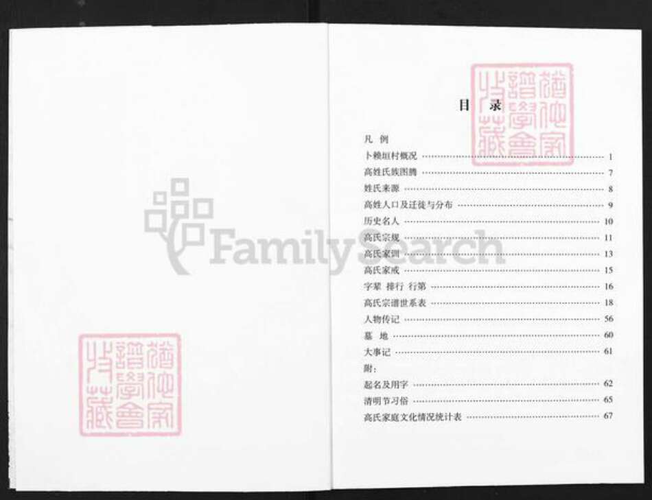 山西省吕梁市柳林县穆村镇高氏族谱-高氏家谱.pdf电子版预览图2