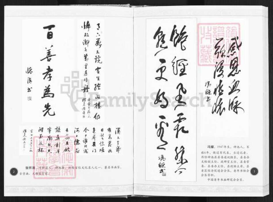 山西省忻州市神池县东湖乡高氏族谱-高氏段笏嘴家谱.pdf电子版预览图2