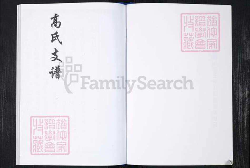 山东省青岛市崂山区高氏族谱-常家社区高氏支族谱二支(老谱).pdf电子版预览图2