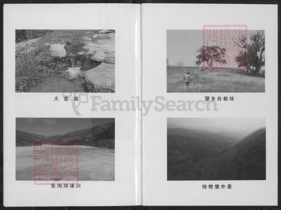 山西省忻州市繁峙县高氏族谱-高氏家谱.pdf电子版预览图2