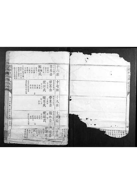 福建邱氏族谱-湖梓里邱氏族谱.pdf电子版预览图2