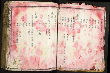 福建邱氏族谱-邱氏宗谱.pdf电子版预览图2