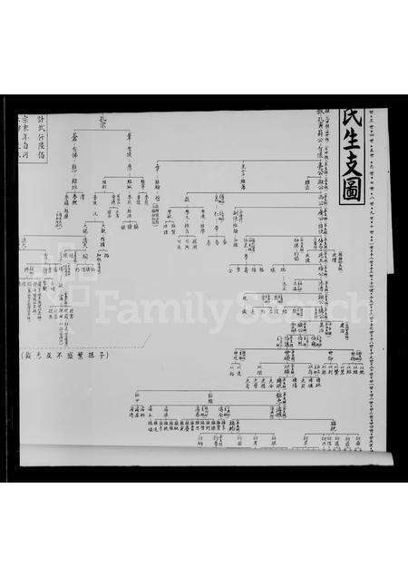 福建施氏族谱-钱江石厦施氏生支图.pdf电子版预览图2