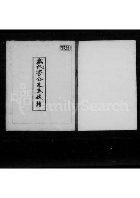 福建戴氏族谱-戴氏杏公支系族谱.pdf电子版预览图2