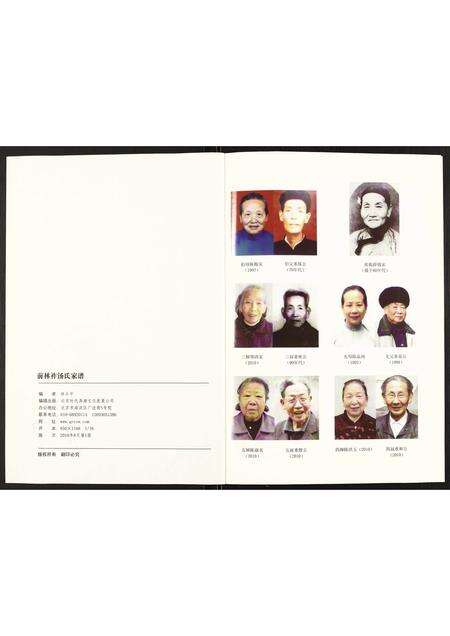 福建汤氏族谱-前林祚汤氏家谱.pdf电子版预览图2