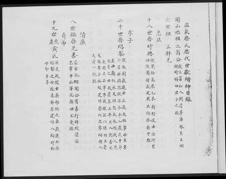 福建唐氏族谱-清溪温泉唐氏族谱.pdf电子版预览图2