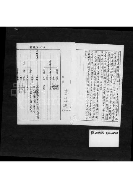 福建汪氏族谱-[褔建惠安汪含章公派下家谱].pdf电子版预览图2