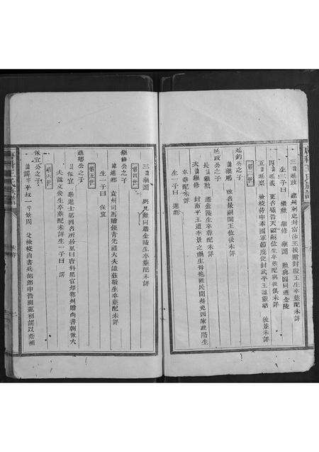 福建王氏族谱-唐科王氏族谱.pdf电子版预览图2