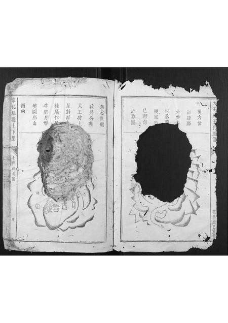 福建王氏族谱-大王坊王氏族谱.pdf电子版预览图2