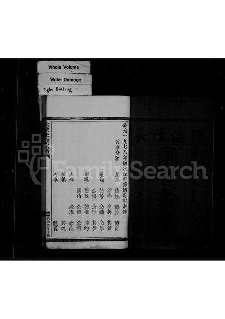 福建王氏族谱-太原王氏宗谱.pdf电子版预览图2