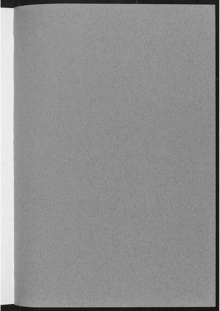 福建王氏族谱-安溪王氏族谱.pdf电子版预览图2