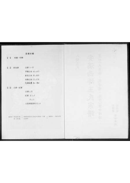 福建王氏族谱-安溪西坪王氏宗谱.pdf电子版预览图2