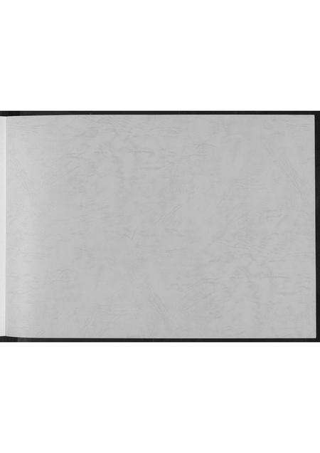 福建王氏族谱-岑头家谱清水王氏族谱.pdf电子版预览图2