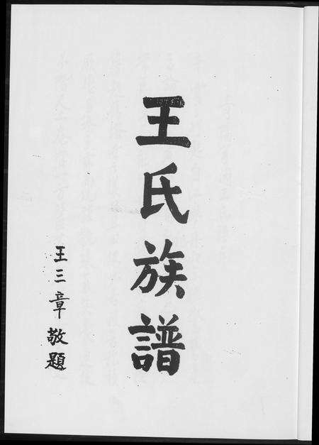 福建王氏族谱-温陵晋邑开闽王氏族谱.pdf电子版预览图2