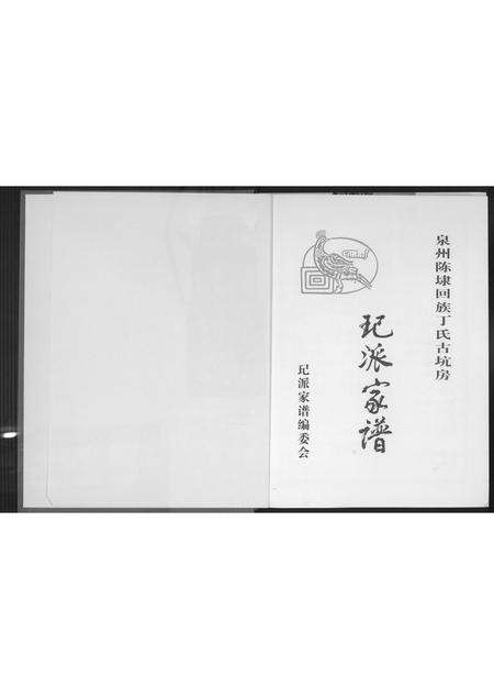 福建丁氏族谱-[丁氏](王己)派家谱.pdf电子版预览图2