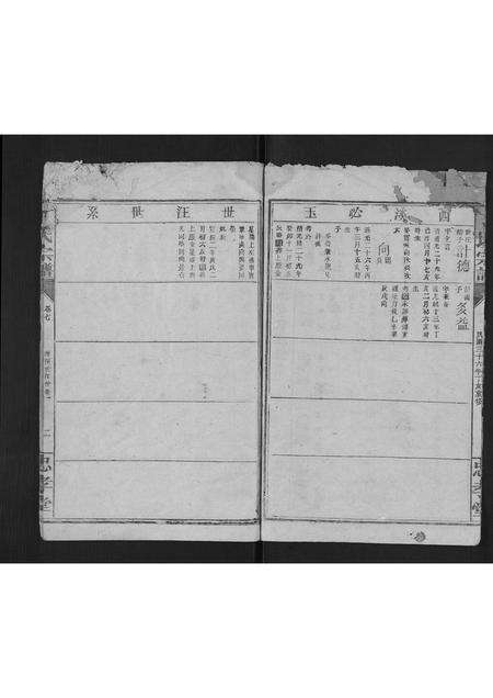 福建丁氏族谱-丁氏宗谱.pdf电子版预览图2