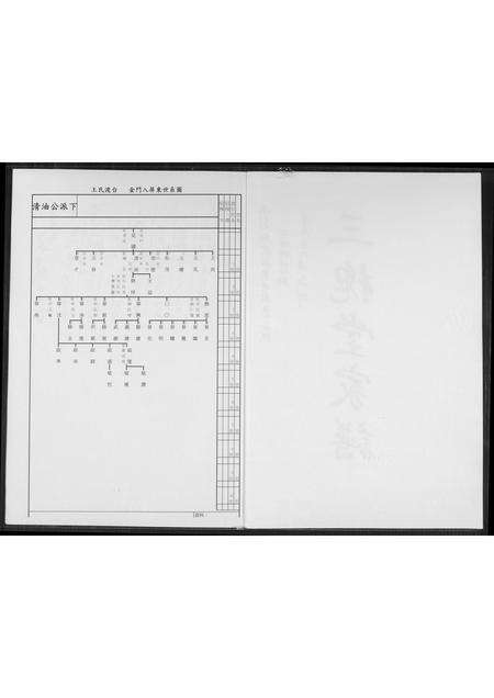 福建王氏族谱-[王氏]三槐堂家谱.pdf电子版预览图2