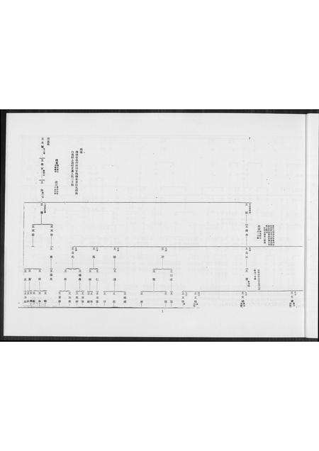 福建王氏族谱-王氏世系图. 高雄王文医家族.pdf电子版预览图2