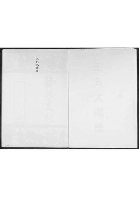 福建王氏族谱-王氏大族谱.pdf电子版预览图2