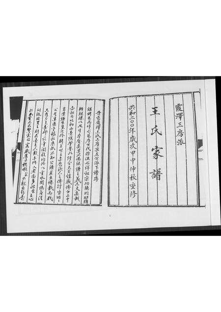 福建王氏族谱-王氏家谱霞泽三房派.pdf电子版预览图2