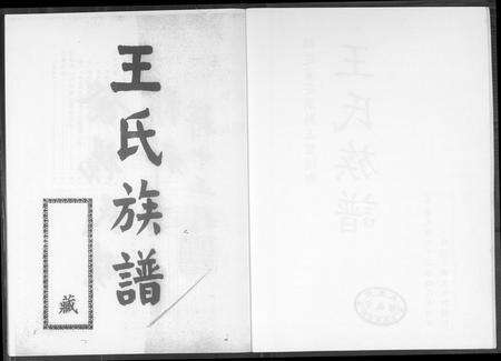 福建王氏族谱-王氏族谱.pdf电子版预览图2