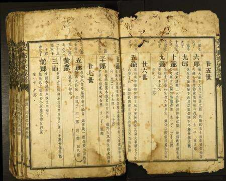 福建范氏族谱-高平郡范氏族谱.pdf电子版预览图2