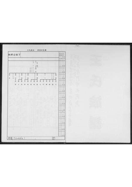 福建王氏族谱-王氏族谱.pdf电子版预览图2