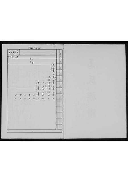 福建王氏族谱-王氏族谱.pdf电子版预览图2
