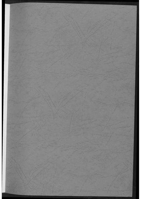 福建王氏族谱-王氏族谱安溪崇信里.pdf电子版预览图2