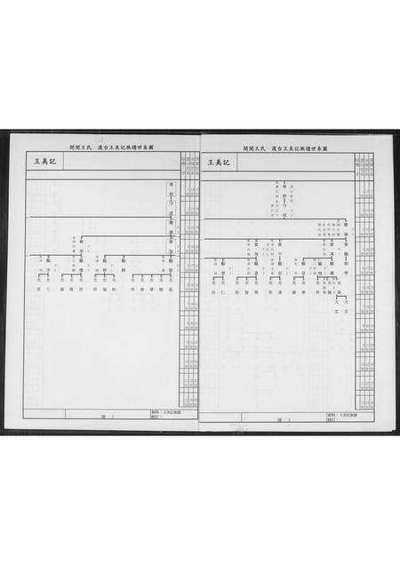 福建王氏族谱-王美记族谱.开闽金陵派渡台始祖尊炳公世系履历.pdf电子版预览图3