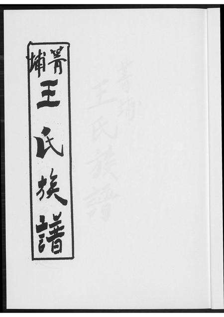 福建王氏族谱-菁埔王氏族谱.pdf电子版预览图3