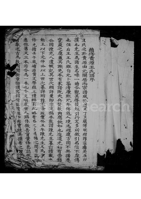 福建王氏族谱-贵源王氏谱.pdf电子版预览图3