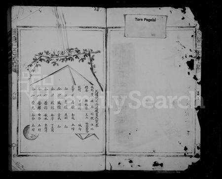 福建王氏族谱-岭头王氏宗谱.pdf电子版预览图3