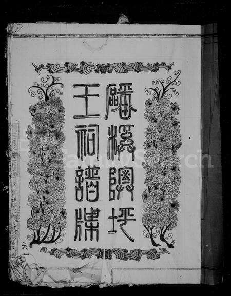 福建王氏族谱-磻溪隩坪王祠谱牒.pdf电子版预览图3