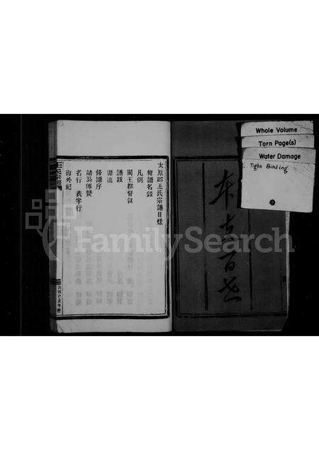 福建王氏族谱-太原郡王氏宗谱.pdf电子版预览图3