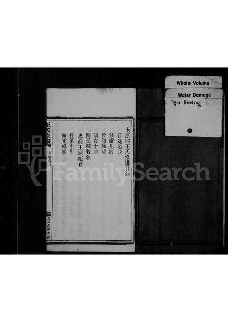 福建王氏族谱-王氏宗谱.pdf电子版预览图3