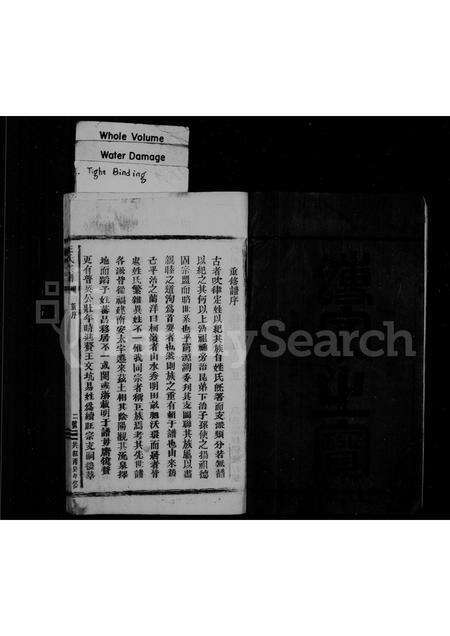 福建王氏族谱-王氏宗谱.pdf电子版预览图3